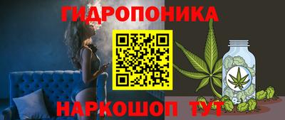 прущие крисы Свободный