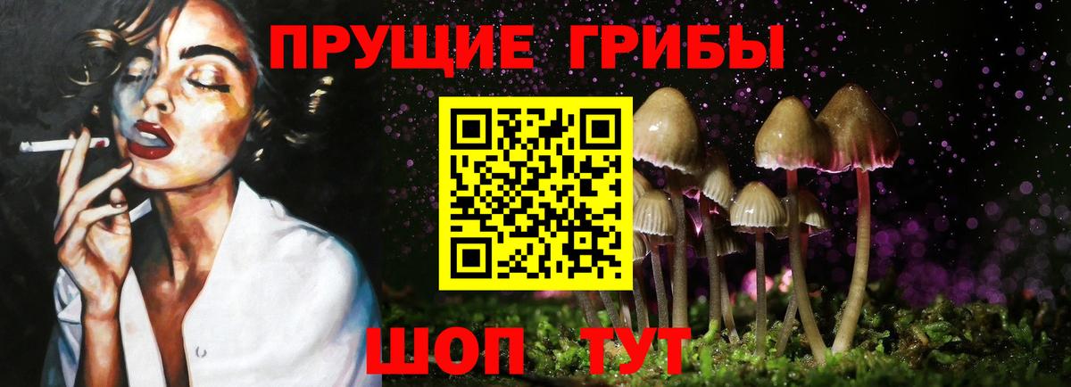 Псилоцибиновые грибы Cubensis Отрадный